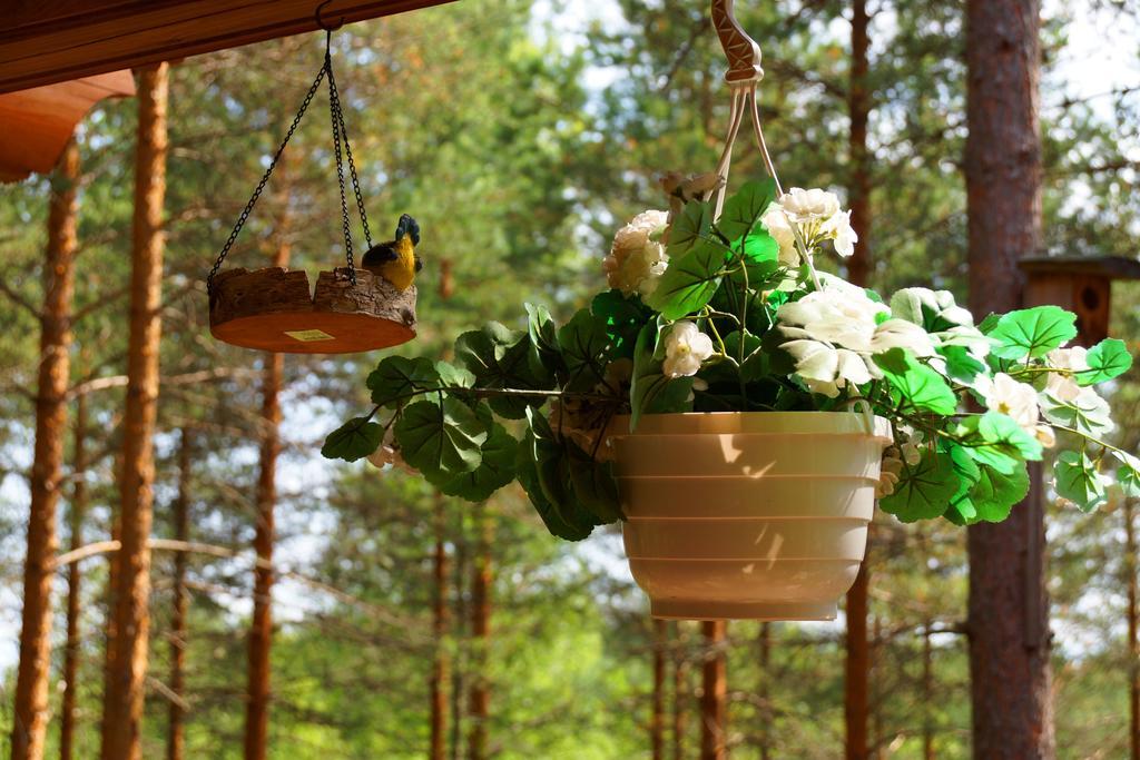 Kettu Holl Cottage Taipalsaari Ngoại thất bức ảnh