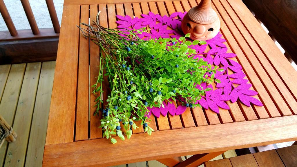 Kettu Holl Cottage Taipalsaari Phòng bức ảnh