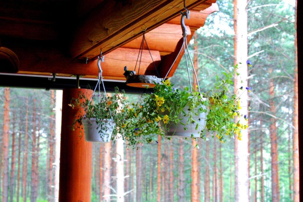 Kettu Holl Cottage Taipalsaari Ngoại thất bức ảnh
